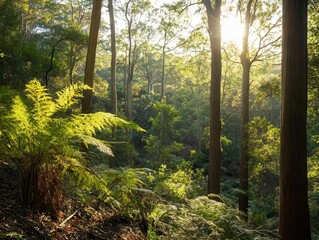 Fototapeta premium lush forest wilderness with tall trees, dappled sunlight filtering through the canopy, creating a serene and untouched landscape that invites exploration and tranquility
