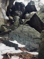 Rocky landscape with snow and fallen pine needles