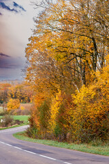 Obraz premium Autumn leaves outdoors, fall foliage, tree and vibrant colors