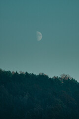 Mond übern Wald