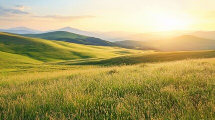 Fototapeta premium Serene Sunrise Over Rolling Green Hills and Meadow Landscape
