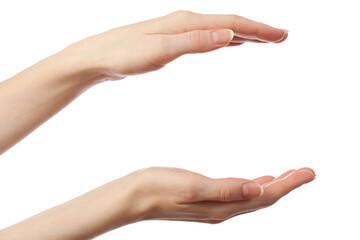 Female hands on a white background