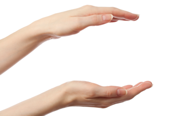 Female hands on a white background