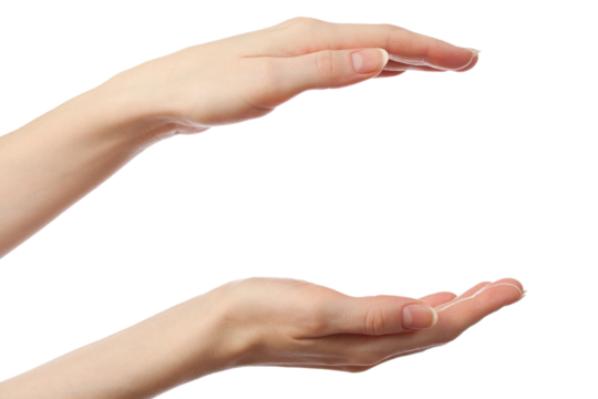 Female hands on a white background