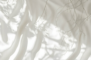 Abstract image of delicate tree branch shadows cast on a soft, flowing white fabric.  Creates a serene, minimalist aesthetic.