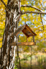 Wooden bird feeder on a birch tree