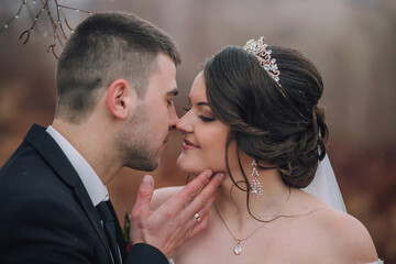 A bride and groom are kissing each other's necks. The bride is wearing a tiara and necklace