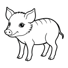  A cute baby wild boar 