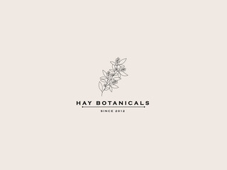 Obraz premium Hay Botanicals Logo