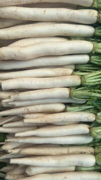 Bright fresh radish vegetable on a basket. 4k footage of vegetable.
