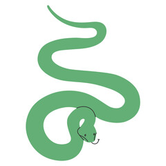 Green Snake isolated.Hand drawn colored snake.Chinese new year symbol.Year of the snake illustration for greeting card, sticker on transparent background. Hand drawn trendy Vector illustration EPS10