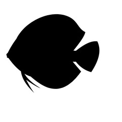 aquarium fish