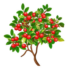 Vibrant Illustration of a Fruit-Bearing Tree with Glossy Red Berries and Lush Green Leaves for Botanical Designs