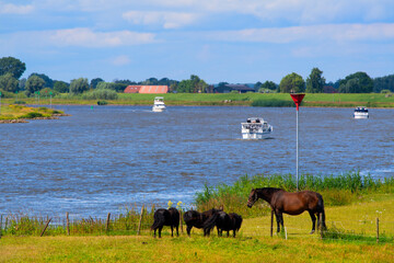 Dutch river the IJssel