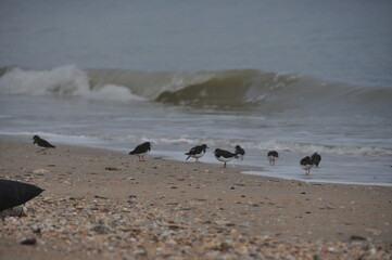 Plages du Debarquement en Normandie