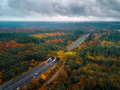 The Bridge of Nature(Wildviaduct Woeste Hoeve) in Apeldoorn, The Netherlands