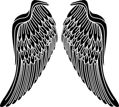 Angle wings silhouette vector