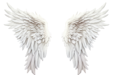 Pair of detailed, realistic angel wings spread wide, showcasing intricate feather textures, isolated on white background