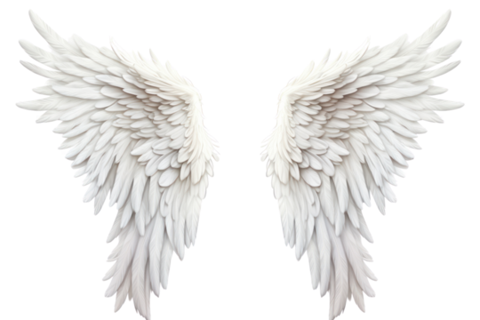 Pair of detailed, realistic angel wings spread wide, showcasing intricate feather textures, isolated on white background