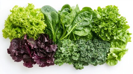 Fresh Assortment of Leafy Greens Including Spinach, Romaine, and Kale on White Background Ideal for Healthy Eating and Culinary Use