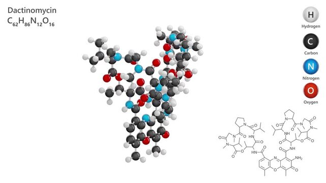 Dactinomycin or Actinomycin D. Antibiotic. Animated 3D model of a molecule. Molecular formula: C62H86N12O16. Chemical model: Ball and sticks. White background. 3D rendering. Seamless loop.