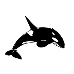 Orca animal vector ilustration design  © Iron mystogan 