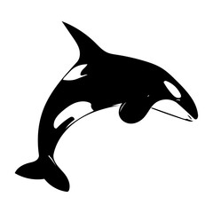 Orca animal vector ilustration design 