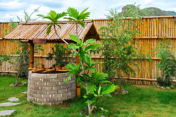 Beautiful artesian well made by bricks and old vintage style wooden dipper made from bamboo and...