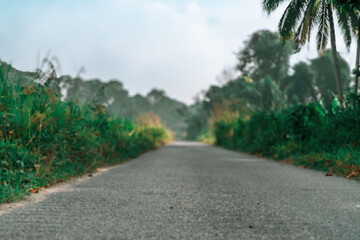 Blurry photo an empty asphalt road in the village surrouinded by the green bushes in the morning.