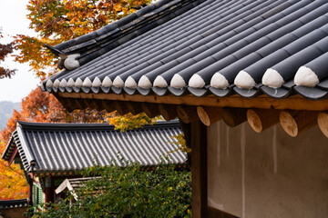roof and eaves in the Buddhist temple building