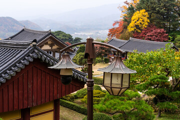 lamp and CCTV in the Buddhist temple