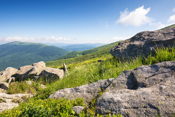 summer landscape in mountains. travel destination. sunny morning. smooth highlands of carpathian range in ukraine. grassy slopes with stones. beautiful view in to the distance. idyllic weather