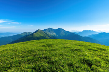 Fototapeta premium Stunning panoramic view of lush green mountains under a clear blue sky, showcasing nature's beauty and tranquility in a serene landscape.