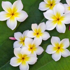 Obraz premium A high-resolution ultrarealistic image of a cluster of frangipani flowers, created in digital art style. This image features vivid and delicate flowers arranged on a glossy green leaf. Each petal disp