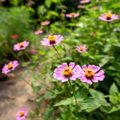 "Please compile 8 prompts to create a Nature and Environment themed AI image with the following keywords flowers and the following parameters Wide Shot (WS), , Dutch Angle Shot, photo, , , , , ."