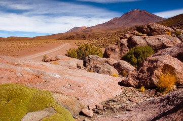 Pristine Bolivian Landscape: Majestic Mountains and Lush Vegetation in the Desert