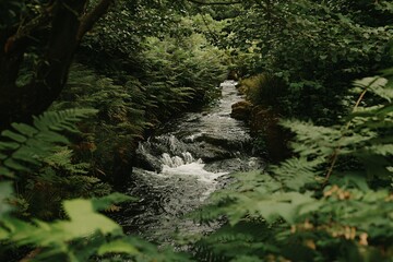 Obraz premium Serene Stream Flowing Through Lush Green Forest