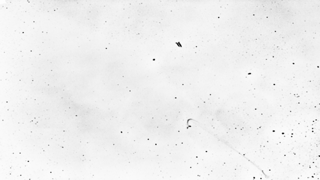 Dust and scratches texture background PNG transparent. Opacity or screen mode usage for overlay images