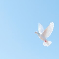Fototapeta premium A Serene White Dove in Mid-Flight Ascending with an Olive Branch Symbolizing Peace Against a Clear Sky Background