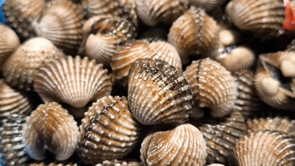 Clams in a restaurant. Seafood.