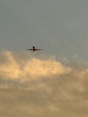 Airplane in flight