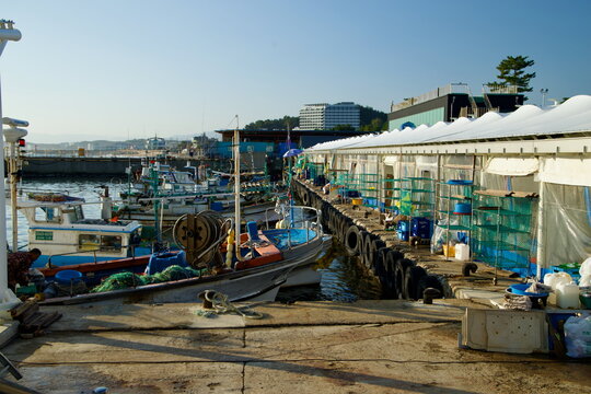 Fishing Boats and Market Stalls at Seorak Port
