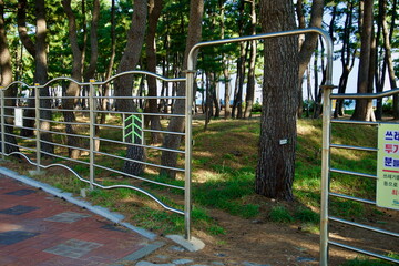 Fototapeta premium Gated Entrance to Pine Forest at Sokcho Beach