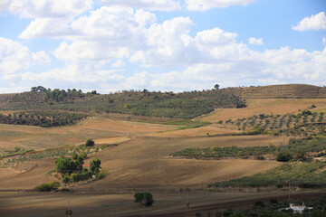 Obraz premium Road to Gravina in Puglia on a sunny summer day, province of Bari, Apulia, southern Italy.