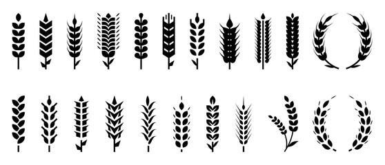 Wheat icon. Ear, barley corn logo, silhouette for rice grain bread. Rye, oat cereal stalk pattern, black graphic seed for farm. Bakery and beer logotype. Black silhouette. Vector pictogram set © SpicyTruffel