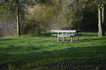 Table de pic nic dans un parc