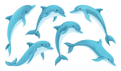 Cartoon dolphin. Sea animal, cute jumping fish swim in zoo, wild flipper in underwater or ocean water, oceanarium inhabitant. Vector isolated characters, cartoon flat illustration set