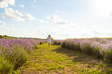 Fototapeta premium Child girl in lavender field. Selective focus.