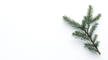 Obraz premium A blank Christmas greeting card with minimal decor on a white background, perfect for holiday notes.