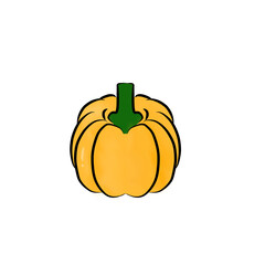 pumpkin on a white background